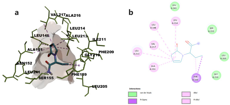(a) Docked conformation of levetiracetam and predicted interactions with MAGL; (b) predicted interactions represented in 2D diagram in which ligand-protein interactions are colored depending on their type: π-σ interactions in purple, and π-alkyl interactions in light purple, respectively.