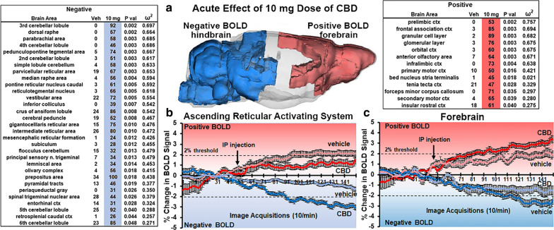Acute Effects of 10 mg Dose of CBD. The tables show a truncated list of 31 and 13 out of 138 brain areas ranked in order of their significance for changes in negative and positive BOLD volume of activation, respectively in response to the 10 mg/kg I.P. dose of CBD. The 3D image (a) summarizes the location of these brain areas presenting with positive (red) and negative (blue) BOLD volume of activation. Below are graphs of BOLD signal change over the 15 min imaging session for the ascending reticular activating system (ARAS) (b) and forebrain (c). Comparisons are made between vehicle and the 10 mg dose of CBD. Shades of red denote positive changes and shades of blue negative changes. For ARAS positive BOLD: (p = 0.0045; CBD < Veh). For ARAS negative BOLD: (p < 0.0001; CBD > Veh). For forebrain positive BOLD (p = 0.0199; CBD > Veh). For forebrain negative BOLD: (p = 0.026 CBD > Veh)