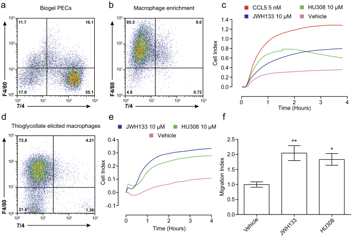 Macrophages are the dominant cell population in bio-gel elicited PECs that migrate toward CB2 agonists. (A) Flow cytometry analysis demonstrates that neutrophils (F4/80-, 7/4+) are the major cell population within bio-gel elicited PECs, whereas macrophages (F4/80+, 7/4-) and monocytes (F4/80+, 7/4+) form only a minor population. (B) Bio-gel elicited PECs were placed into petri dishes and allowed to adhere for 2 hours at 37 °C, 5% CO2 prior to washing with PBS. Cells were then left overnight at 37 °C, 5% CO2 and remaining adherent cells removed using PBS containing 10 mM EDTA. Flow cytometry analysis of these cells after staining with F4/80 and 7/4 demonstrates that this process strongly enriches macrophages and removes neutrophils. (C) Enriched macrophages (2 × 105) were placed into the upper chamber of a CIM-16 plate and allowed to migrate for 4 hours at 37 °C, 5% CO2 toward vehicle (0.3% DMSO), 5 nM chemokine or 10 μM cannabinoid. Real-time chemotaxis analysis demonstrates that JWH133 and HU308 caused strong directed migration of this macrophage population. Data show mean trace of 3-4 technical replicates per condition. (D) Flow cytometry analysis using F4/80 and 7/4 demonstrates that macrophages are the main cell population elicited by intraperitoneal injection of 4% thioglycollate. (E,F) Thioglycollate elicited macrophages (2 × 105) were placed into the upper chamber of a CIM-16 plate and allowed to migrate for 4 hours at 37 °C, 5% CO2 toward vehicle (0.3% DMSO) or 10 μM cannabinoid. (E) Representative real-time chemotaxis trace of thioglycollate elicited macrophage migration towards JWH133, HU308 or vehicle. Data show mean trace of 3-4 technical replicates per condition. (F) Quantification of chemotaxis demonstrates that JWH133 and HU308 significantly induced thioglycollate elicited macrophage chemotaxis. Data are mean ± SEM, n = 4-6 biological replicates with 3-4 technical replicates per condition. Statistical analysis was conducted by one-way ANOVA with Dunnett’s multiple comparisons correction. * P < 0.05, ** P < 0.01, comparing all samples to vehicle control.