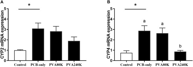 Effects of the vitamin A on the Aroclor 1254-mediated mRNA relative expression of cytochrome P450 2 (CYP2) (A) and cytochrome P450 4 (CYP4) (B) from three individuals (n = 3); blank bar (diet without PCB), dark bar (diets with PCB). ∗p < 0.05. Data shown as means ± SEM.