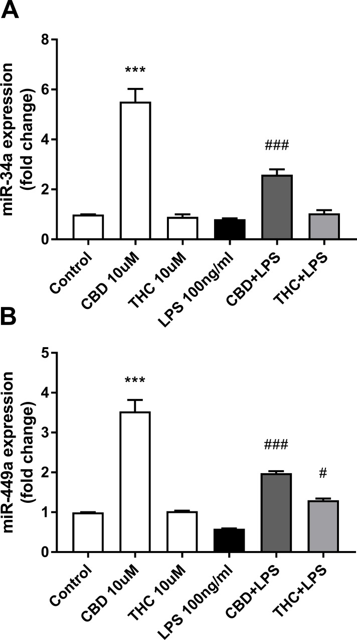 CBD upregulates the expression of miR-34a/449a in resting microglial cells.Conditions are as indicated in Fig 2. qPCR data were plotted as the mean ± SEM of three to four independent experiments. (A) One-way ANOVA F(5,19) = 62.78 p < 0.001; (B) one-way ANOVA F(5,12) = 78.31 p < 0.001. Tukey multiple comparison post hoc test: ***p < 0.001 vs. control; #p < 0.05 and ###p < 0.001 vs. LPS.