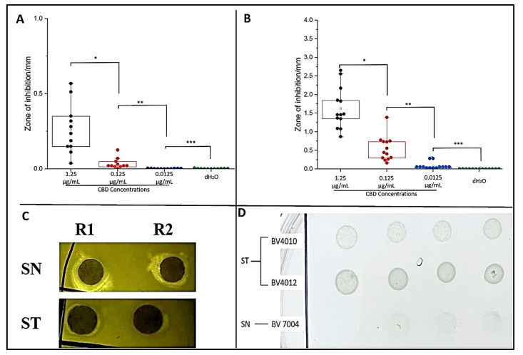 Plate assays confirm inhibitory activity of CBD. Quantitative analysis of Kirby–Bauer assay results of S. typhimurium (A) and S. newington (B). Images from Kirby–Bauer assay and CBD-produced ZOIs against S. typhimurium and S. newington (C). Images from spot assay featuring S. typhimurium and S. newington treated with decreasing concentrations (left to right) of CBD (D). (A) * p-value = 0.000961, ** p-value = 0.0117, *** p-value = 0.7179. (B) * p-value = 0.00000343, ** p-value = 0.000480, *** p-value = 0.00832.