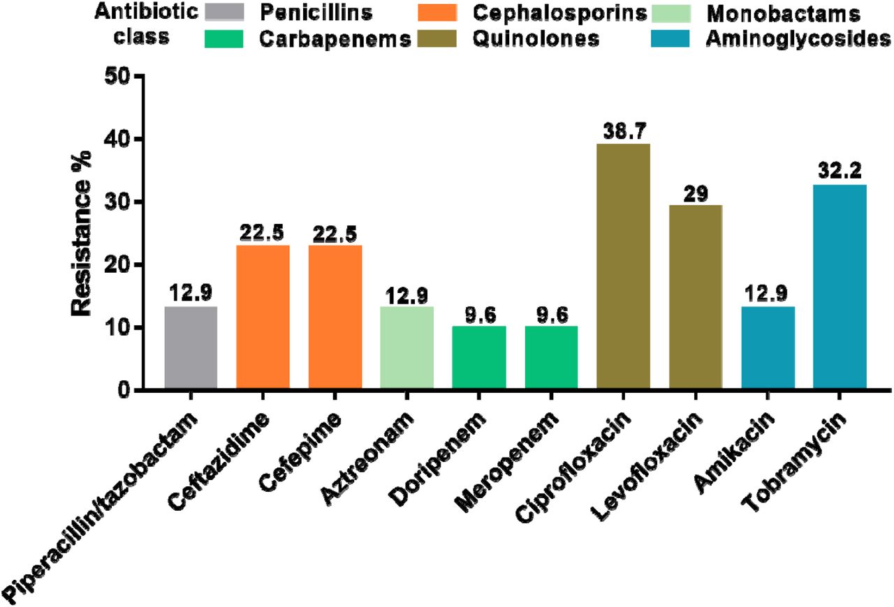Classes of antimicrobials to which the 31 P. aeruginosa isolates recovered from CAUTIs were resistant.AMR susceptibility testing was done according to EUCAST guidelines. The figure depicts the proportion (%) of isolates that were resistant to each antibiotic.