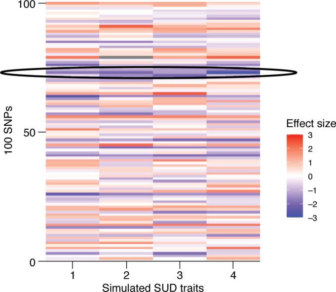 Illustration of common SNP effect sizes that contribute to underlying latent factor of genetic risk.Simulated effects of 100 independent SNPs predicting four simulated SUD traits are plotted as a heatmap. A genetic correlation of 0.70 is assumed between all traits, consistent with genetic correlations between SUDs. When a SNP effect is more similar across all four traits, that SNP will have a larger contribution to the latent underlying genetic predisposition. A single row is circled to demonstrate such consistency across the effect sizes of a SNP on the four traits. As the risk allele for the SNP in the circled row has a similar magnitude of negative effect on all four traits, that SNP is likely contributing to the inheritance of each trait and is likely a “common” effect. Many rows follow a similar consistent pattern of effect sizes, while others do not. This highlights that a genetic correlation of 0.70 includes both SNPs that capture consistent, or shared, effects, but also SNPs that may have specific effects on each trait.