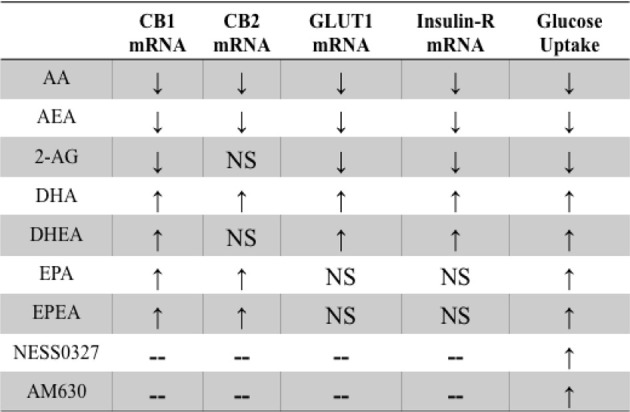 The illustration summarizes the actions of PUFA, endocannabinoids, and cannabinoid antagonist and inverse agonist on glucose uptake and ECS gene expression in differentiated C2C12 myoblast cell cultures. Differentiated C2C12 cultures treated with AA and its derived ligands, AEA and 2-AG, led to lower basal glucose uptake compared to the BSA vehicle control group. Treatment with DHA, DHEA, EPA, and EPEA resulted in higher basal glucose uptake compared to the BSA control group. The higher levels of glucose uptake were comparable to the uptake observed with the CB1 antagonist, NESS0327. The figure is developed from the key observations found by treatment of C2C12 myoblast cell cultures with PUFA, endocannabinoids, and cannabinoid receptor antagonism on CB1, inverse agonist on CB2, and the measurement of GLUT1, insulin-R mRNA, and glucose uptake in differentiated C2C12. In the table below upward arrows represent higher expression/activity compared to the BSA vehicle control while downward arrows signify lower expression/activity compared to the BSA control. Differentiated C2C12 cultures treated with AA and its derived ligands, AEA and 2-AG, led to lower CB1, GLUT1, and insulin-R mRNA expression as well as a reduction of basal glucose uptake compared to the BSA control group. Treatment with DHA, DHEA, EPA, and EPEA resulted in higher CB1, and DHA or DHEA higher GLUT1 and insulin-R mRNA expression as well as a greater level of glucose uptake compared to the BSA control group. NS indicates not significant from the BSA control group.