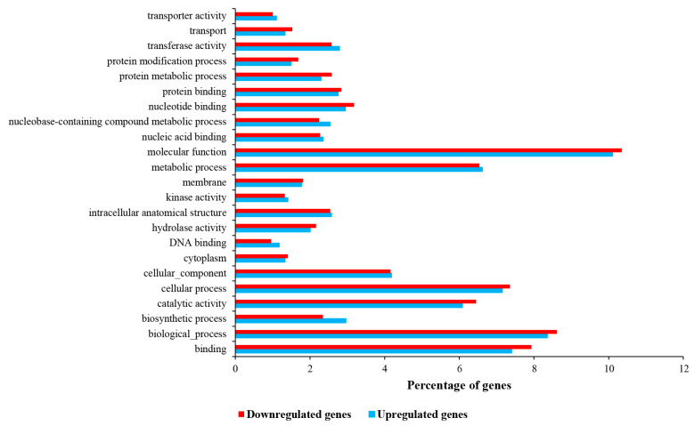 GO enrichment of down- and up-regulated differentially expressed genes.