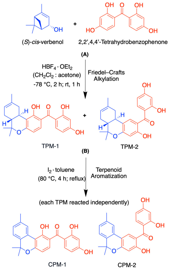 (A) Friedel–Crafts alkylation to produce TPM regioisomers (e.g., TPM-1) with a TBP core motif, followed by (B) aromatization of terpenoid cyclohexane to produce CPM regioisomers (e.g., CPM-1) with a BCP core motif.