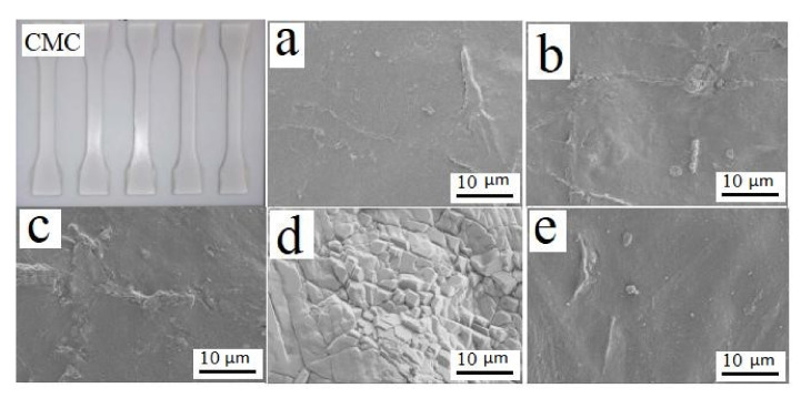 Example of CMC composite dog-bones used to assess tensile strength and scanning electron micrographs of CMC composites derived from (a) pine wood, (b) bamboo culm, (c) pine needles, (d) bamboo leaves, and (e) hemp hurd, showing slightly different topographies based upon parent material.