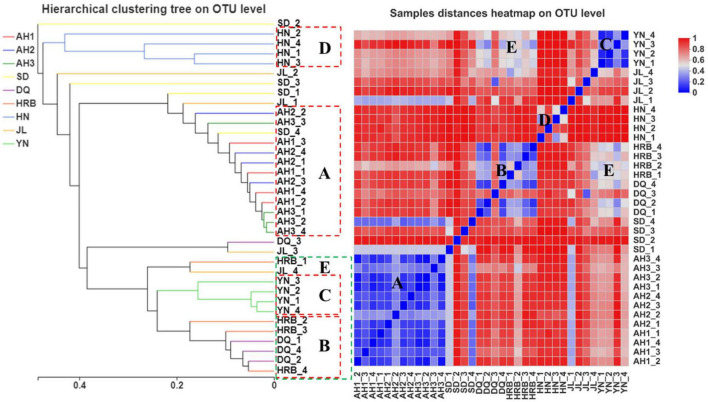 Bacterial community dissimilarity among samples from nine geographic populations of the hemp flea beetle P. attenuata in China. The picture on the left: analysis of unweighted pair-group method with arithmetic mean (UPGMA) based on hierarchical clustering at the OTU level. The picture on the right: sample distance heatmap analysis at the OTU level.