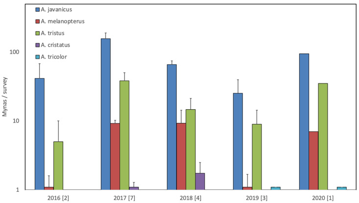 Number of mynas (mean + one standard error of the mean) recorded during surveys of Plered bird market in Cirebon, West Java during 17 surveys over five years (number of surveys per year is given between brackets). Two non-invasive species, i.e., A. javanicus (blue) and A. melanopterus (red), and three invasive species, i.e., A. tristus (green), A. cristatus (purple) and A. tricolor (pale blue), were recorded. Note the logarithmic scale on the left.
