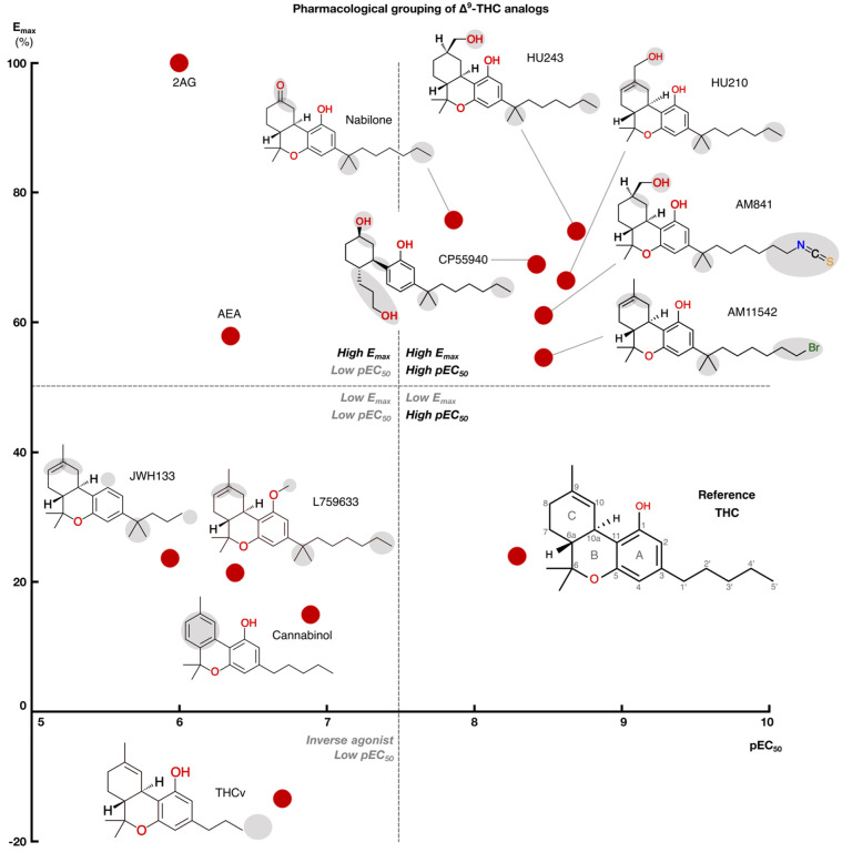 Structure-activity relationships of studied THC analogs.Scatter plot of ligand pEC50 (x-axis) and Emax (y-axis) in the mGi experiments. Dotted lines divide the plot into quadrants of low/high pEC50/Emax. For THC analogs, the 2D structure is shown next to the data points.