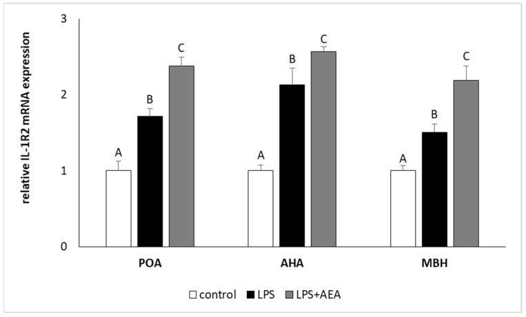 The effect of intravenous (i.v.) anandamide (AEA) injection (10 µg/kg; i.v.) and lipopolysaccharide (LPS)-induced inflammation (400 ng/mg; i.v.) on the relative receptor type II interleukin 1 (IL-1R2) mRNA level in preoptic area (POA), anterior hypothalamus (AHA), and medial basal hypothalamus (MBH) normalized to the mean expression of three reference genes (GAPDH, HDAC1, ACTB—see Table 2). All data are presented as the mean value ± S.E.M. Different letters indicate significant (p < 0.05) differences according to a one-way ANOVA followed by Fisher’s least significance test.