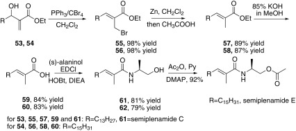 Synthesis of semiplenamide C reported by Das [53]