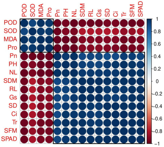 Correlation of different studied parameters in industrial hemp. Different abbreviations used in the figure are as follows: SFM, shoot fresh weight; SDM, shoot dry weight; NL, number of leaves per plant; PH, plant height; SD, stem diameter; RL, root length, SPAD, Chlorophyll; Pn, net photosynthesis; Gs, stomatal conductance; Tr, transpiration rate; C i, intercellular CO2 concentration; SOD, superoxide dismutase; POD, peroxidase; MDA, malondialdehyde; Pro, proline.