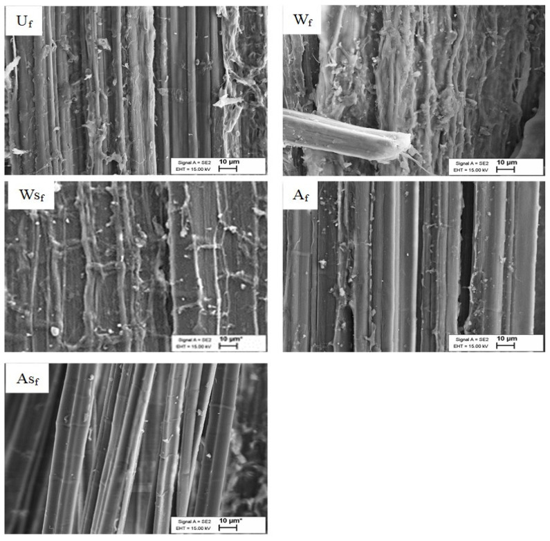 SEM images of (Uf) untreated, (Wf) water-treated, (WSf) water + 3% silane-treated, (Af) 5% alkali-treated, and (ASf) 5% alkali + 3% silane-treated hemp fiber surfaces.