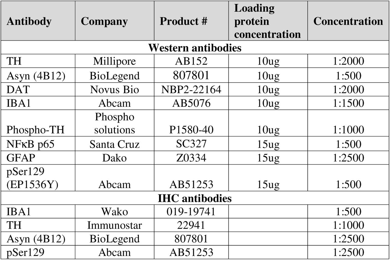 Western and IHC antibodies