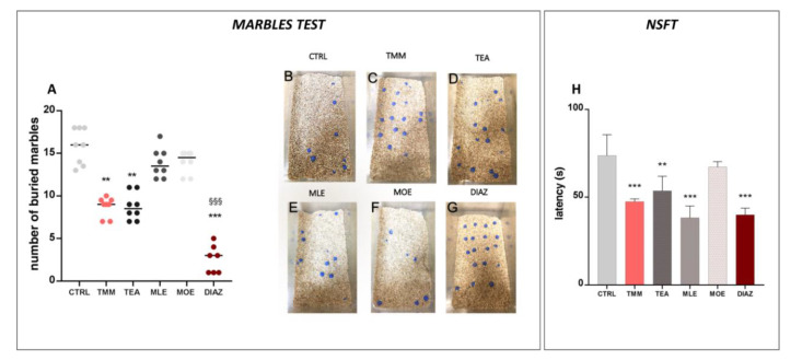 Effects of TMM (10 mg/kg), TEA (2.5 mg/kg), MLE (0.625 mg/kg), and MOE (0.25 mg/kg) in the marbles test (A), with representative images (B–G) and novelty suppressed feeding test (NSFT) (H). DIAZ was used as a positive control. *** p < 0.001, ** p < 0.01 vs. CTRL; §§§ p < 0.001 vs. TMM.