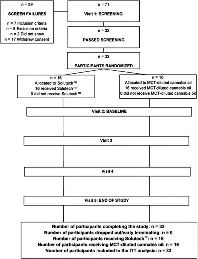 Participant disposition. Seventy-one participants screened for this study and 32 enrolled with 16 in each arm.
