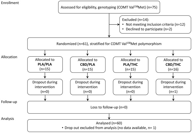 CONSORT Flow Diagram. CBD, cannabidiol; PLA, placebo; THC, delta-9-tetrahydrocannabinol.
