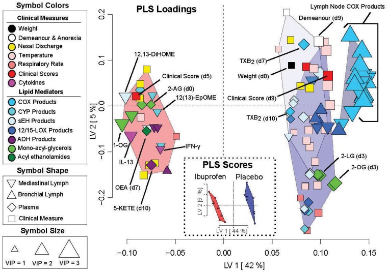 Partial least squares discriminant analysis (PLS-DA) of measurement from RSV infected calves with and without ibuprofen treatment.The Scores Plot (Inset) shows treatment group discrimination (ibuprofen: red; placebo: blue). The Loadings Plot shows the discriminant variable weighting with variables grouped by hierarchical cluster analysis of their Spearman’s correlations. Point shapes describe variable origin (i.e. tissue type or clinical observation), point colors describe variable class (i.e. metabolite or clinical data type) as described in the figure, and point sizes are defined by the variable importance in projection (VIP) scores. VIP scores roughly correlate with t-test p-values (small p = 0.12–0.05, medium p<0.05, large p<0.001). Variables to the right of the origin are elevated in the placebo group. For example, the placebo group shows higher lymph (triangles) and plasma (diamonds) concentrations of cyclooxygenase (COX) and lipoxygenase (LOX) products, higher plasma thromboxane B2 (TXB2), higher temperatures and plasma concentrations of soluble epoxide hydrolase (sEH) generated fatty acid diols at the majority of time points, but lower concentrations of fatty acid alcohol dehydrogenase (ADH) metabolites in lymph tissues and plasma.