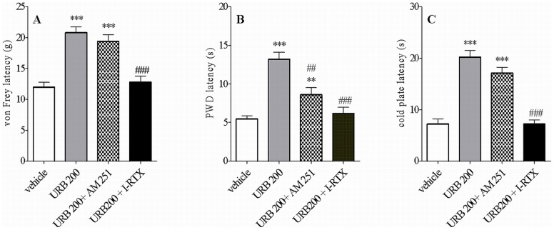 Effect of URB597 (a selective inhibitor of the enzyme fatty acid amide hydrolase, FAAH) at the dose of 200 µg, on mechanical allodynia (A), thermal hyperalgesia (B) and cold allodynia (C) in CCI rats.Experiments were conducted 7 days after the CCI. Antagonists (I-RTX or AM251) were administered 15 min before URB597 and behavioral evaluations were made 30 min after the last administration. The doses of I-RTX and AM251 used for antagonism of URB597 effects had no effect on allodynia and hyperalgesia per se (for details, please refer to [23]). All drugs were given i.t. in a volume of 10 µl. Data represents mean values ± SEM (n = 8). Statistical analyses were performed with one-way ANOVA with Bonferroni as post test. **p<0.01; ***p<0.001 versus vehicle-treated rats (veh); ##p<0.01 and ###p<0.001 versus URB597-treated rats.