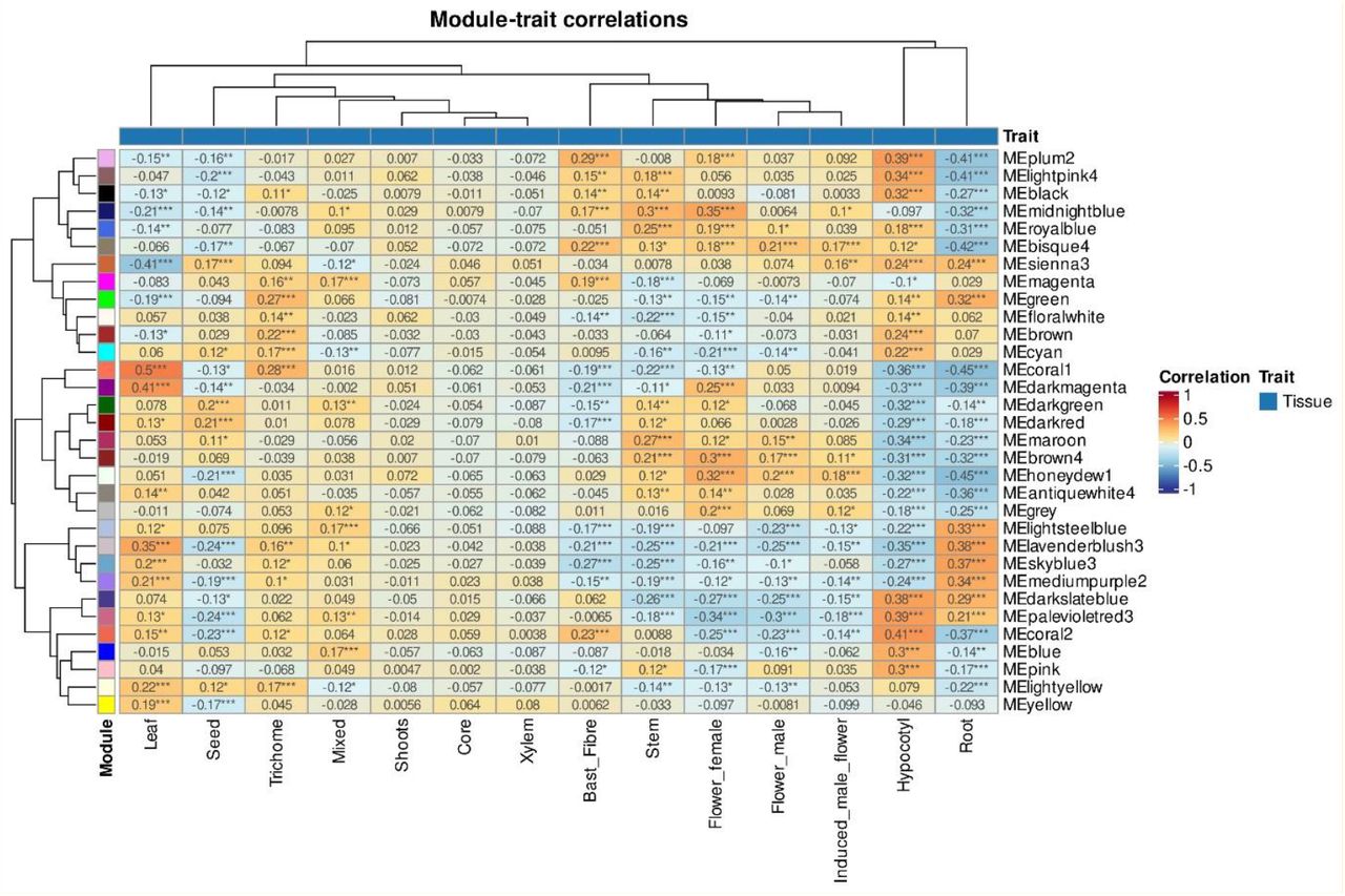Correlation between coexpression modules and tissues.