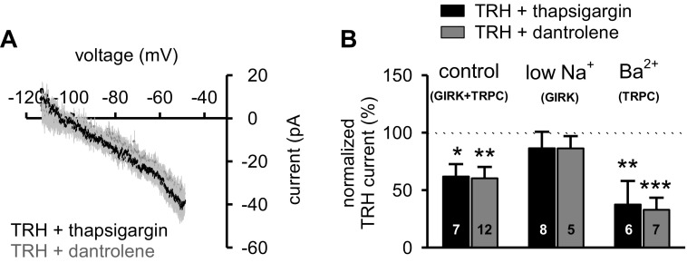 TRH-induced activation of TRPC-like channels involves Ca2+-induced Ca2+ release. A: the mean I–V relationship of the net TRH-generated current in the presence of either thapsigargin (2 μM for 15 min; n = 7; black circles) or dantrolene (20 μM for 15 min; n = 12; dark gray circles) obtained by subtracting control membrane current responses from those in TRH. Data are presented as mean (circles) ± SE (light gray lines). Note that the I-V reversals approximate the K+ equilibrium potential under these experimental conditions. B: summary histogram of normalized amplitude of TRH-induced currents in the presence of either thapsigargin (black bars) or dantrolene (dark gray bars) in three different external media: control ACSF (expressing GIRK+TRPC currents), ACSF where NaCl was replaced with Tris-Cl to isolate GIRK-like channels (low Na+-GIRK), and ACSF with 1.3 mM Ba2+ to isolate TRPC-like channels (1.3 mM Ba2+-TRPC). Note that there was no current reduction when GIRK-like channels were isolated. Data are expressed as means ± SE. *P < 0.05; **P < 0.01; ***P < 0.001; number reflects cells tested in each condition.