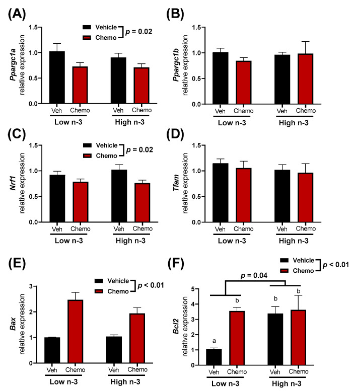The heart mitochondrial-related gene expression of (A) Ppargc1a, (B) Ppargc1b, (C) Nrf1, (D) Tfam, (E) Bax, and (F) Bcl2. Data presented as group means ± SEM (n = 5/group). A two-way ANOVA with a diet x chemo interaction was used to detect the differences between groups while pairwise comparisons were performed using a Tukey’s post hoc test. Group means with different lowercase letters were different at p < 0.05. Veh—saline vehicle injections; Chemo—9 mg/kg anthracycline + 90 mg/kg cyclophosphamide injections; Low n-3—0 g/kg EPA + DHA diet; High n-3—12.2 g/kg EPA + DHA diet (~2% kcal).