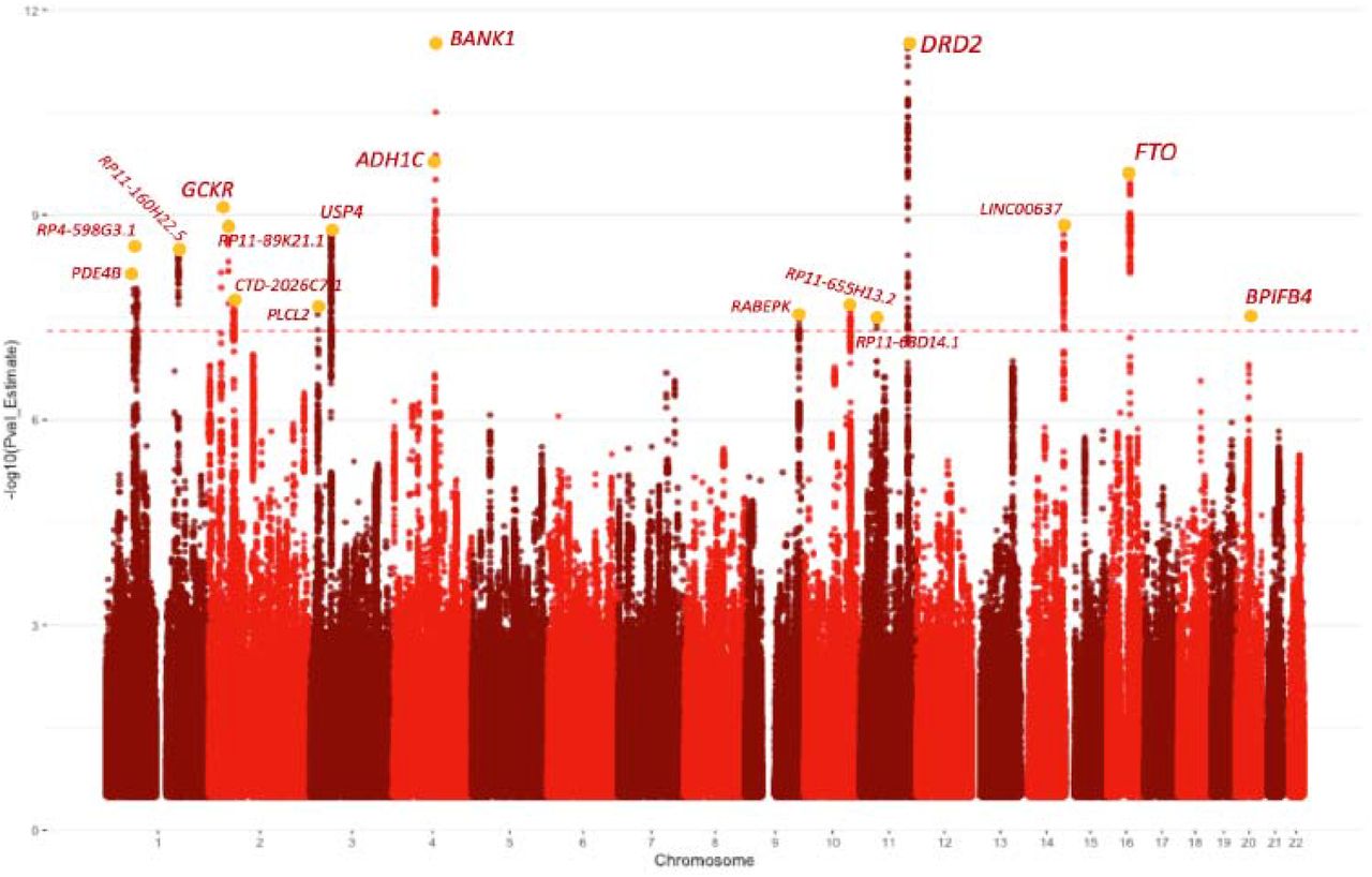 Manhattan plot of signals associated with the addiction-rf, a general genetic factor underlying problematic alcohol use, problem tobacco use, cannabis use disorder and opioid use disorder. Each SNP peak is annotated with the closest gene to a fine-mapped SNP with a posterior probability of inclusion of 1 or (if none) the closest gene to the lead SNP.