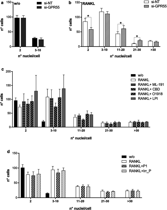 Effects of GPR55 interference and GPR55 modulators on osteoclast syncytia. RAW264.7 cells were interfered using non-targeting (si-NT) or Gpr55-targeting (si-GPR55) siRNAs, and then treated without (w/o) (a) or with 15–30 ng/mL RANKL (b). Osteoclast syncytia formation was determined after 72 h as number of nuclei/cell, under fluorescence microscopy. c, d RAW264.7 cells were treated without (w/o) or with 15–30 ng/mL RANKL, in the absence or presence of the GPR55 putative antagonists/agonist (0.5 µM ML-191, 0.5 µM CBD, 30 µM O1918, 1 µM soybean LPI) (c), or of 150 nM (0.2 µg/mL) peptides (Peptide-P1, P1; the irrelevant peptide with the sequence CGGNGPGLC, Irr_P) (d). Osteoclast syncytium formation was determined after 72 h of RANKL treatment as the number of nuclei/cell, under fluorescence microscopy. Data are means ± SE of three independent experiments. *p < 0.05 (Student’s t-tests). w/o, cells incubated without RANKL; RANKL, RANKL-differentiated cells