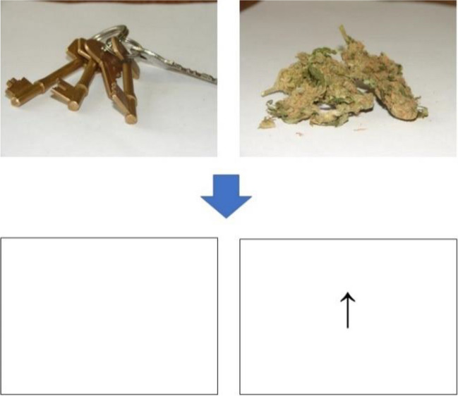 Visual representation of dot-probe task with a pair of matched simultaneous images (one neutral and the other either cannabis or food-related) presented for either 200 ms or 500 ms, with a single image then replaced by an up or down arrow