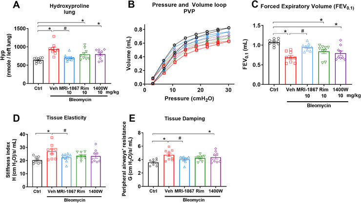 Only MRI‐1867, but not rimonabant or 1400W, reduced fibrosis and improved PFT in pulmonary fibrosis in HpsPF mice. (A) Hydroxyproline content as fibrosis measurement. (B) Pressure‐volume curve, (C) forced expiratory volume, (D) tissue elasticity, and (E) tissue damping as measures of lung function. Data represent mean ± SEM. n = 9 mice per group. Control group (Ctrl) were pale ear mice infused with saline instead of bleomycin. HpsPF mice (pale ear mice challenged with bleomycin) were either given vehicle (veh), MRI‐1867, rimonabant (Rim), or iNOS inhibitor (1400W). Data were analyzed by one‐way ANOVA followed by Dunnett's multiple comparisons test. * (p < 0.05) indicates significant difference from the control group. # (p < 0.05) indicates significant difference from HpsPF mice treated with vehicle (Veh) at 42 day