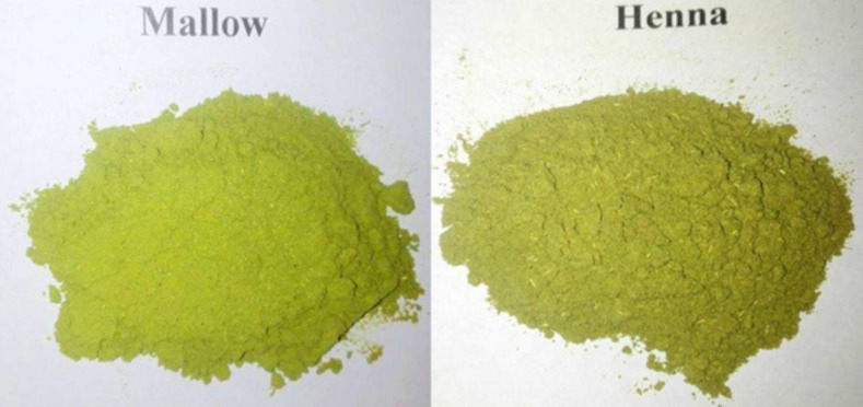 Photograph of mallow and henna powders.