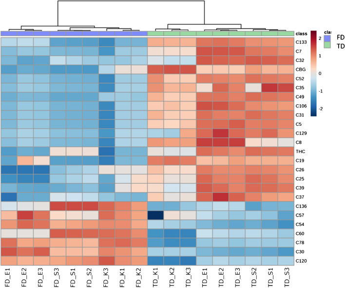 Hierarchical cluster analysis relative to cannabis inflorescences drying procedures FD and TD showing the top 25 most affected metabolites deriving from volcano plot analysis. Each coloured cell on the map corresponds to the relative measure of each metabolite (column normalised) after Log10 transformation to make metabolite intensity comparable. Cells in red show higher intensity, while those in blue refer to lower intensity. Sample codes refer to: freeze drying (FD), tray drying (TD); cannabis varieties Eletta Campana (E), Silvana (S), and Kompolti (K). The numbers 1, 2, and 3 refer to the biological sample