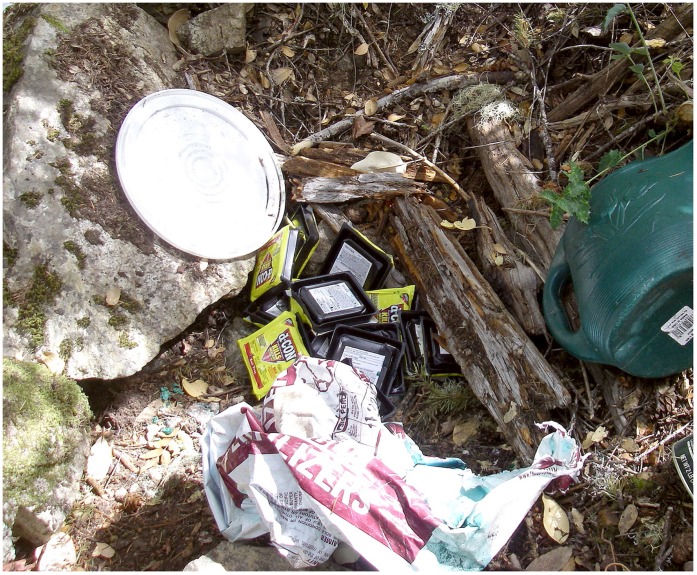 Multiple packets of anticoagulant rodenticides found surrounding an illegal marijuana grow site within the southern Sierra Nevada fisher (Martes pennanti) project.