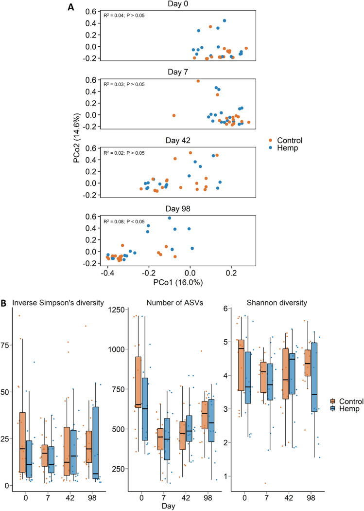 (A) Principal coordinates analysis (PCoA) plot of the Bray–Curtis dissimilarities for the nasopharyngeal microbiota by diet and sampling day. The PERMANOVA results for the effect of diet within each day is included on each plot. The percentage of variation explained by each principal coordinate is indicated on the axes; (B) Box and whisker plot of the number of ASVs and the Shannon and inverse Simpson’s diversity indices for the nasopharyngeal microbiota by sampling day and diet. The box indicates the interquartile range (IQR) (middle 50% of the data), the middle line represents the median value, and the whiskers represents 1.5 times the IQR; Control refers to the group of heifers that received 20% DDGS in their diet (n = 15) and Hemp refers to the group that received 20% hempseed cake inclusion diet (n = 16).