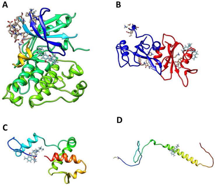 Molecular docking results: (A) cannabinol to EGFR; (B) cannabinol to SRC; (C) cannabinol to ESR1; and (D) cannabinol to HSP90AA1.