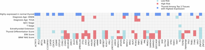 mRNA expression of thyroid cancer-associated genes in normal thyroid tissue and thyroid cancer.Genes were identified from ANNOVAR annotations of genome-wide significant variants in thyroid cancer GWAS meta-analysis and FUSION TWAS cis-eQTL analysis. The dark blue color indicates genes with high expression in normal thyroid tissue, where the thyroid is among the top three tissues with the highest expression in pan-tissue transcriptome analysis from the NCBI Gene database (https://www.ncbi.nlm.nih.gov/gene). Positive (red) and negative (light blue) significant associations of mRNA expression with high-risk thyroid cancer features, such as earlier age at diagnosis, higher ERK score and lower thyroid differentiation score, etc., are shown. P-values were derived from a two-tailed t-test for linear regression (continuous variables) and a two-sided Wald test for logistic/ordinal regression (binary/ordinal variables). All regression analyses were adjusted for the major somatic oncogenic drivers, including BRAF V600E and N/H/KRAS. Significance threshold was adjusted using Bonferroni correction (p-value ≤ 1e-04). ORIEN - Oncology Research Information Exchange Network; TCGA – The Cancer Genome Atlas; AJCC - American Joint Committee on Cancer.