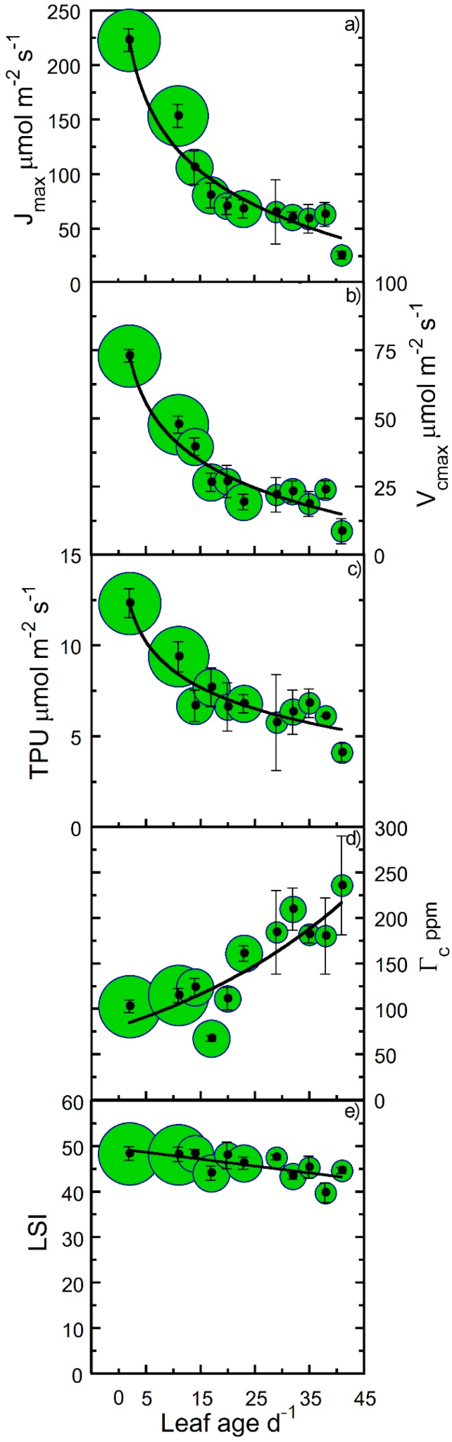 Maximum electron transport rate (Jmax), maximum Rubisco carboxylation rate (Vcmax), triose phosphate utilization (TPU), CO2 compensation point (Γc), and leaf spectral index (LSI) of hemp leaves as a function of leaf age. Binned averages per three-day collection sequence (means ± SE), where samples were pooled for treatments and crown position. Measured changes in (a) Jmax, (b) Vcmax, (c) TPU, (d) Γc, and (e) LSI (a proxy for leaf nitrogen content, chlorophyll a + b concentration, and greenness characteristics). Sample size in bins indicated by bubble diameter (n = 3–18 for Jmax, Vcmax, TPU, Γc, and LSI). Solid lines are logarithmic (panels a–d) and linear (panel e) regressions fitted to the entire data set.