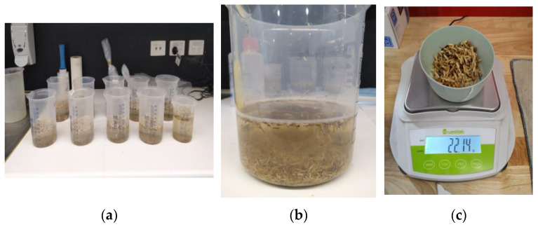 Experimental images of determination of hemp shive properties (a) samples for water absorption and desorption test (b) saturated sample at 72 h (c) weight measurement of saturated sample in saturated surface dry condition.