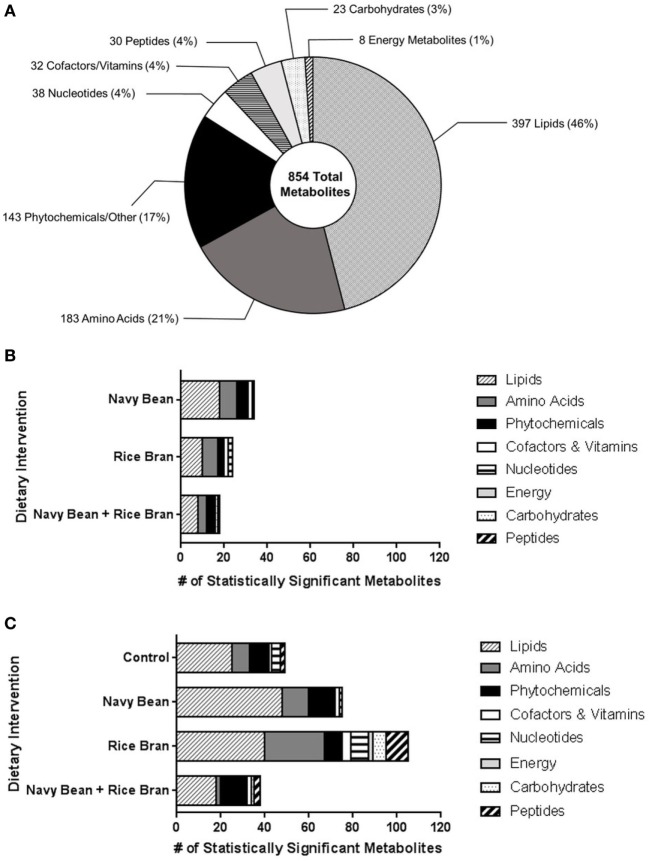 Nutritional metabolome of children modulated by navy bean and/or rice bran consumption. (A) Total metabolite profile identified from plasma of children across all dietary groups. Total numbers of significantly modulated metabolites (increased and decreased, p ≤ 0.05) across eight metabolite classes after 4 weeks of navy bean, rice bran, or navy bean + rice bran consumption (B) compared to control group at 4 weeks or (C) compared to respective baseline.
