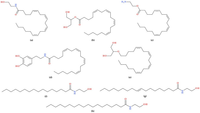 Endocannabinoids molecular structures: (a) anandamide (AEA), (b) 2-Arachidonoylglycerol (2-AG), (c) virodhamine, (d) N-arachidonoyl dopamine, (e) 2-Arachidonoyl glyceryl ether (noladin ether); “Endocannabinoid-like” molecular structures: (f) N-palmitoylethanolamine (PEA), (g) N-oleoylethanolamine (OEA), and (h) N-stearoylethanolamine [8,22].
