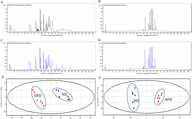 Metabolic profiling of serum samples in HFD and ND mice. The typical base peak ions chromatograms (BPCs) of serum samples from HFD (A,B) and ND (C,D) in ESI positive (A,C) and negative mode (B,D). Score plots of PCA analysis for serum samples from [HFD (▪), ND (▪)] groups in ESI positive mode (E) and negative mode (F).