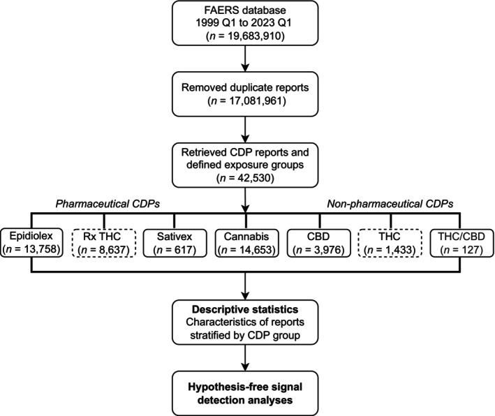 Flowchart of CDP exposure grouping and analyses in FAERS (1999 Q1 to 2023 Q1). After deduplication, we retrieved FAERS reports containing CDP‐related terms and grouped them into seven exposure categories: Pharmaceuticals (Epidiolex, Rx THC, Sativex) and non‐pharmaceuticals (Cannabis, CBD, THC, THC/CBD). We computed descriptive statistics by exposure group and conducted hypothesis‐free disproportionality analyses for Epidiolex and non‐pharmaceutical CBD. CBD, Cannabidiol; CDP, Cannabis‐derived product; FAERS, US Food and Drug Administration Adverse Event Reporting System; Rx THC, Pharmaceutical‐containing THC; THC, Non‐pharmaceutical containing tetrahydrocannabinol.