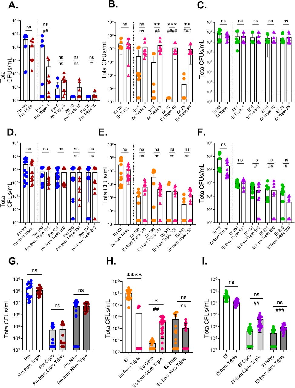 Polymicrobial biofilms provide species-specific protection from commonly used antibiotics. Single and triple species biofilms were established for 24 hours in diluted urine and exposed to (A-C) ciprofloxacin at 1, 5, 10, or 25 (D-F) nitrofurantoin at 100, 150, 200, 250 ug/mL. Data show 4 independent experiments with 2 biological replicates each. (G-I) Catheter biofilms were formed in the modified biofilm reactor in dilute urine for 24 hours and exposed to 25 ug/mL of ciprofloxacin or 200 ug/mL of nitrofurantoin. CFUs/mL were determined by differential plating. Data represent at least 3 independent experiments with at least 7 segments per catheter condition. Statistical significance was determined by Kruskal-Wallis test with multiple comparisons (asterisks) and by Chi-square analysis for number of catheter segments with CFUs above the limit of detection (pound signs); */#, P<0.05; **/##, <0.01; ***/###, P<0.001; ****/####, P<0.0001; ns, non-significant.