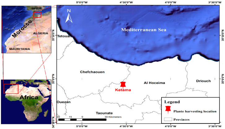 Plant harvesting location map of C. sativa L.
