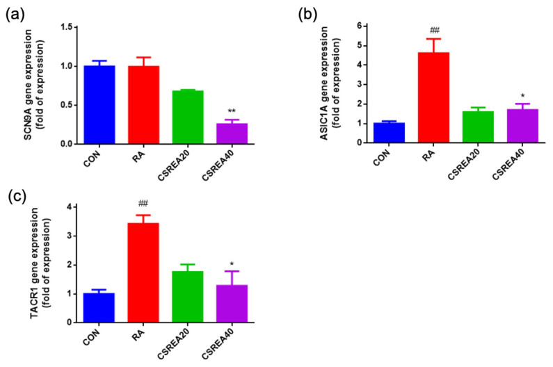 Effect of CSREA on the expression of pain-related genes in RA-differentiated SH-SY5Y cells. RA: retinoic acid. Relative mRNA expression levels of (a) SCN9A, (b) ASIC1A, and (c) TACR1 were determined by RT-qPCR following treatment with 20 or 40 μg/mL CSREA for 6 h after 5-day retinoic acid (RA)-induced differentiation. Gene expression levels were normalized to PPIA and are presented as fold changes relative to the control (CON) group. Data are expressed as mean ± SEM. ## p < 0.01 versus the CON group, ** p < 0.01, * p < 0.05 versus the RA group.