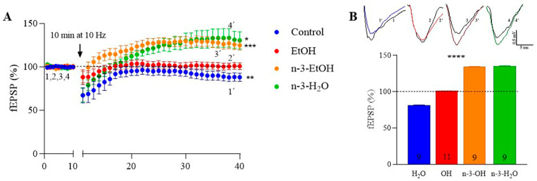 Omega-3-enriched diet potentiates MPP synaptic plasticity impaired by EtOH consumption during adolescence. (A) Effect of low-frequency stimulation (LFS; 10 min, 10 Hz) on fEPSPs in control (81.25 ± 0.46 **; response vs. baseline p = 0.0082), EtOH (101.00 ± 0.15), n-3-EtOH (134.20 ± 0.50 ***; response vs. baseline p = 0.0004) and n-3-H2O mice (135.40 ± 0.46 *; response vs. baseline p = 0.0181). Data are presented as mean ± SEM and analyzed using paired t-tests or the Wilcoxon test. Significance levels: * p < 0.05, ** p < 0.01, *** p < 0.001 compared to baseline. (B) Top: Superimposed traces of averaged fEPSPs from the last 10 min illustrating the LFS effect. Bottom: Summary bar graph showing MPP-LTD and MPP-LTP in control, EtOH, n-3-EtOH and n-3-H2O groups (EtOH vs. control p < 0.0001; n-3-EtOH vs. control p < 0.0001; n-3-H2O vs. control p < 0.0001; n-3-H2O vs. EtOH p < 0.0001; n-3-H2O vs. n-3-EtOH p < 0.0001). Numbers in the bars represent individual experiments. Data are expressed as mean ± SEM and analyzed using two-way ANOVA followed by Tukey’s multiple comparison test. Significance level: **** p < 0.0001.