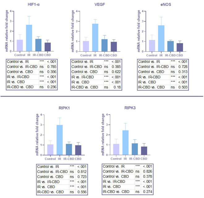 Relative mRNA expression in rat lung