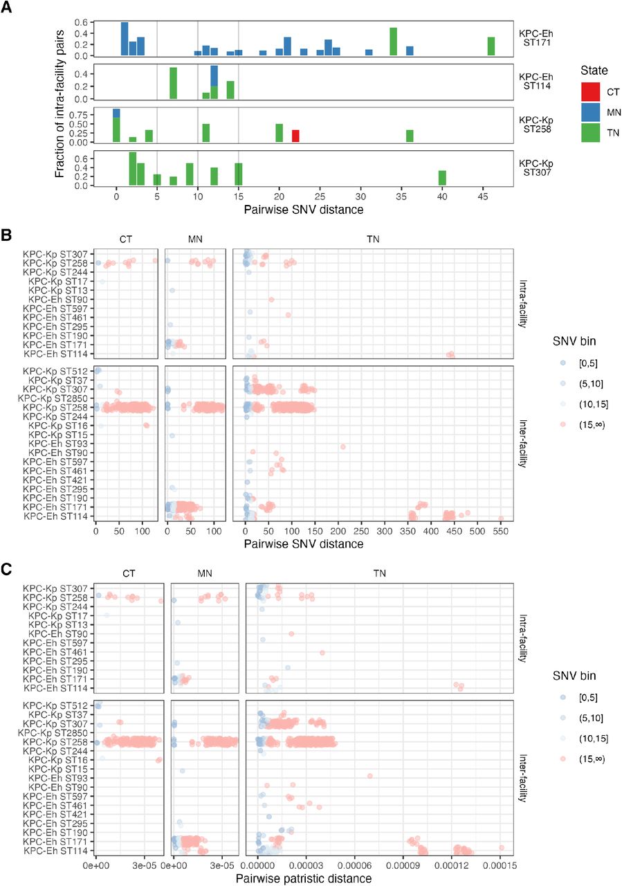 Inter-facility genomic analysis.(A) Fraction of intra-facility isolate pairs for pairwise single nucleotide variant (SNV) distances to help identify pairwise SNV distance cutoffs. We expect there to be an enrichment in closely related intra-facility pairs under the assumption that intra-facility transmission is more common than inter-facility transmission. This plot helps us identify potential pairwise SNV distance thresholds by looking for a SNV distance where there is a decrease in the fraction of intra-facility isolate pairs (around 5 and 10 appear to be reasonable thresholds for a sensitivity analysis). Vertical lines at 5, 10, and 15 SNVs represent potential cutoffs for determining what isolates are considered closely related; 3 thresholds were chosen as a sensitivity analysis. (B) Pairwise SNV distances of all STs. Within an ST, smaller pairwise SNV distances indicate potential local transmission, while larger pairwise SNV distances are not indicative of local transmission. Varying extents of transmission were captured for different states and STs. Putative local transmission events are those in the tail of the distribution (lower pairwise SNV distances). (C) Pairwise patristic distances are concordant with pairwise SNV distance thresholds. CT=Connecticut; MN=Minnesota; TN=Tennessee; ST=sequence type; Eh=E. hormaechei; Kp=K. pneumoniae; SNV = single nucleotide variant.